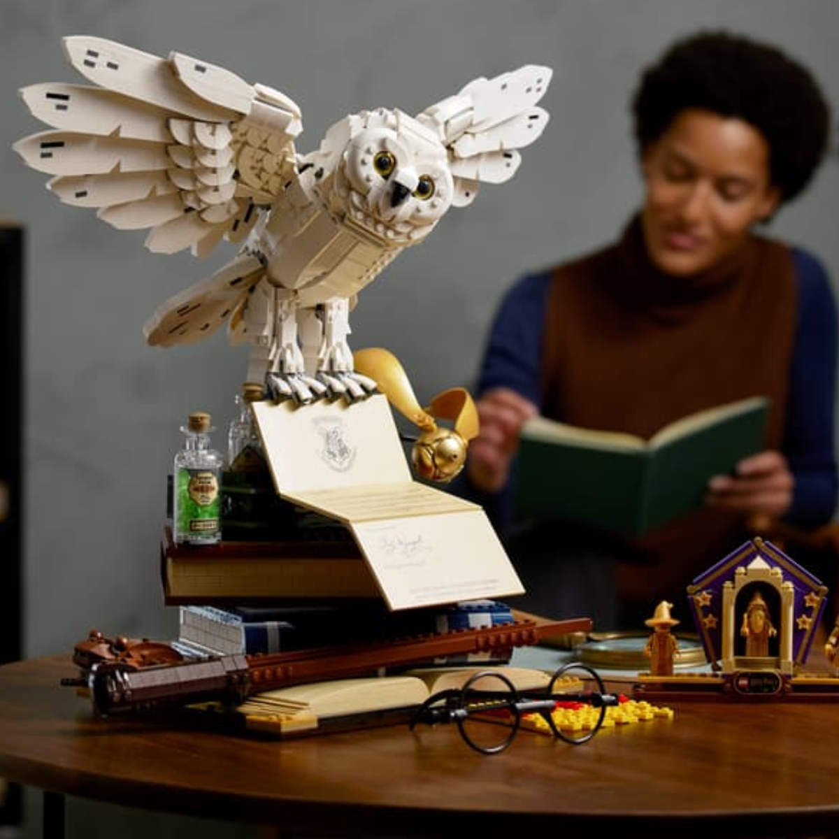 Harry Potter™ Hogwarts™ Icons - Collectors' Edition