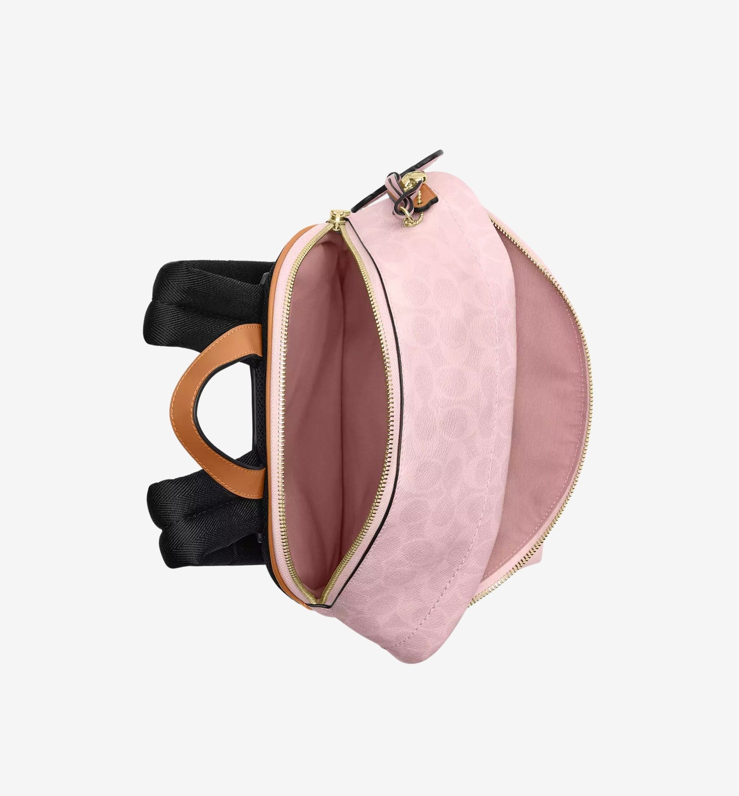 Taylor Small Backpack in Signature Canvas with Charms
